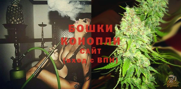 шишки Верхний Тагил
