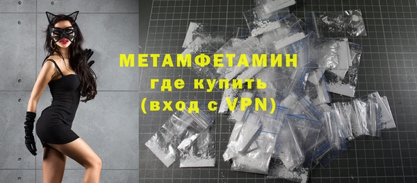 шишки Верхний Тагил
