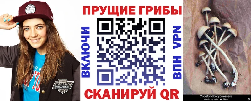 Галлюциногенные грибы прущие грибы  МЕГА рабочий сайт  shop состав  Избербаш 