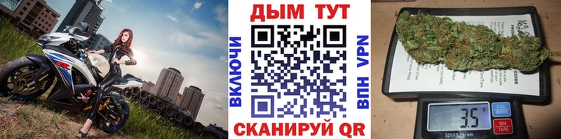 Бошки Шишки семена Избербаш